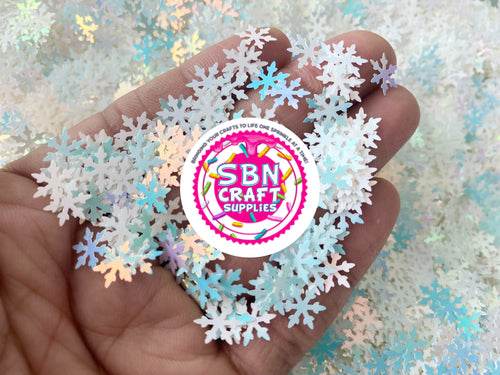 Snow White Chunky Glitter – SBN Craft Supplies